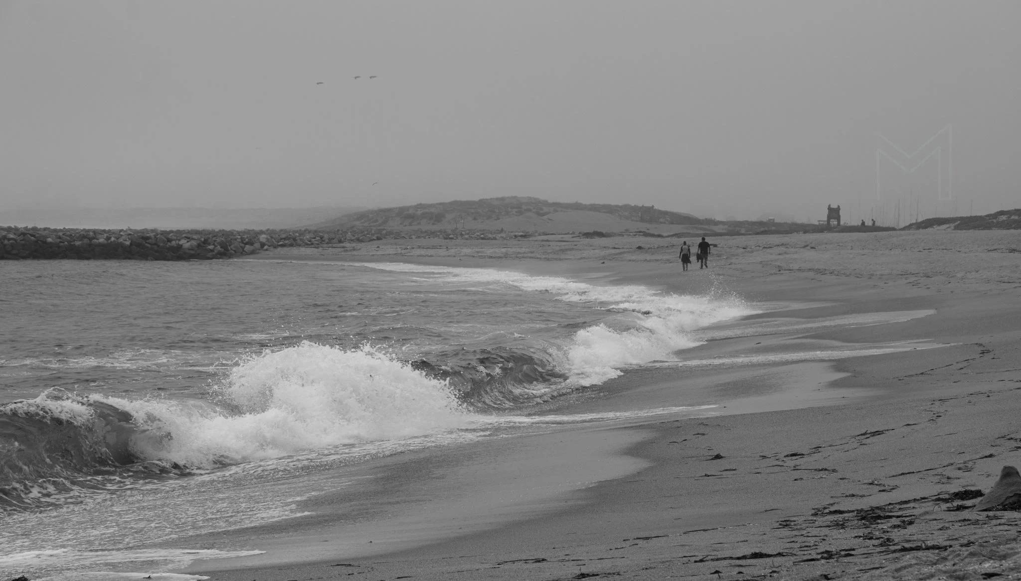 MG beach-48.jpg