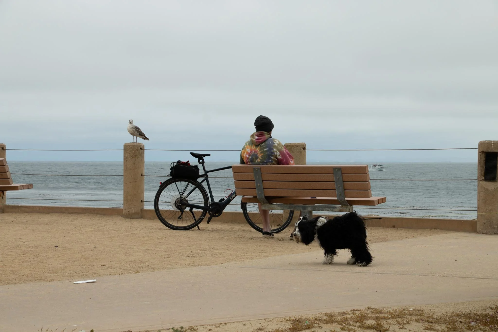 MG beach-09.jpg