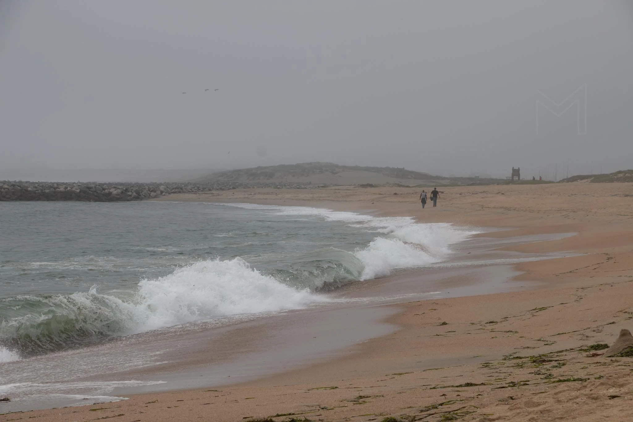 MG beach-49.jpg
