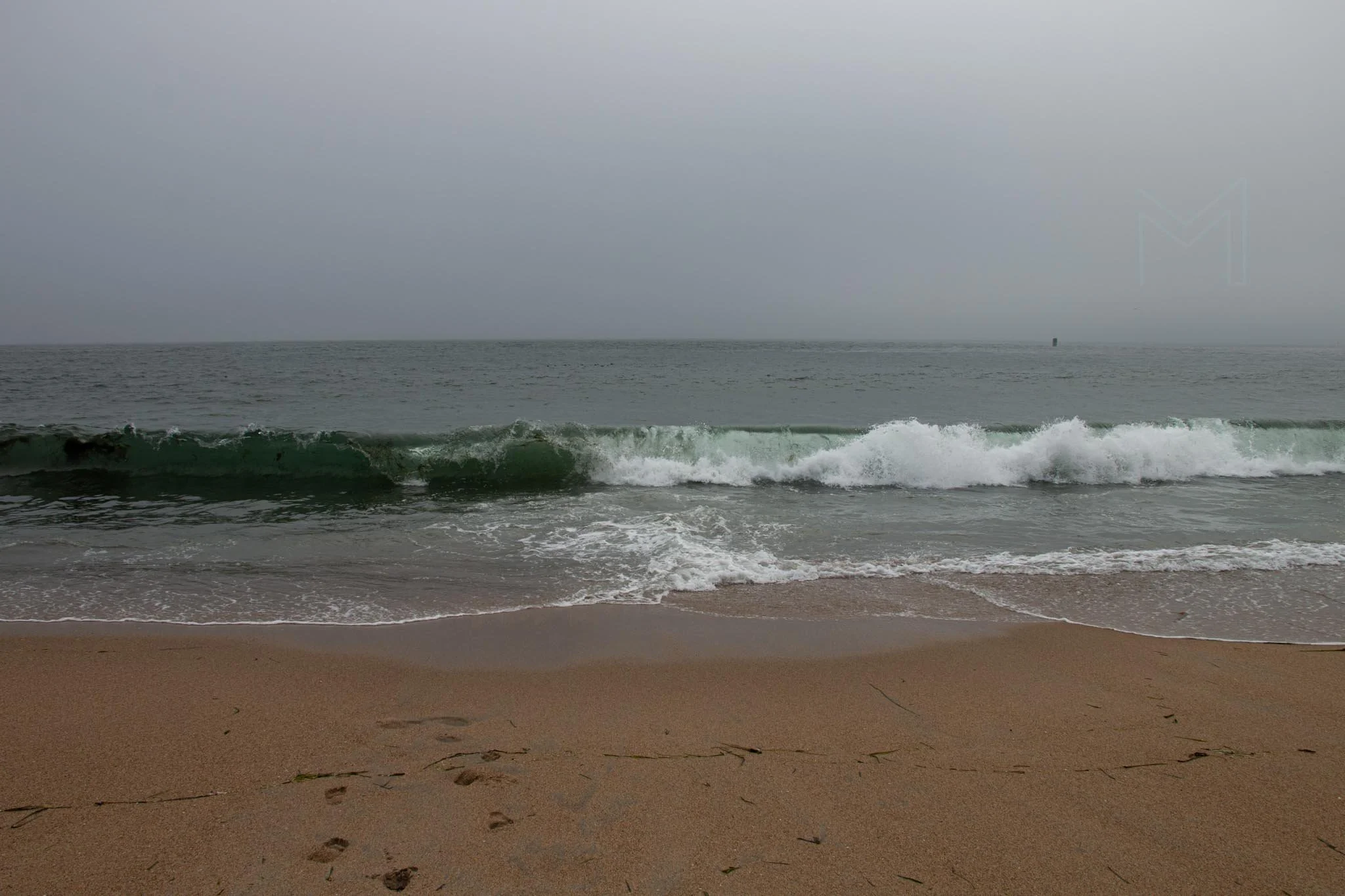 MG beach-53.jpg