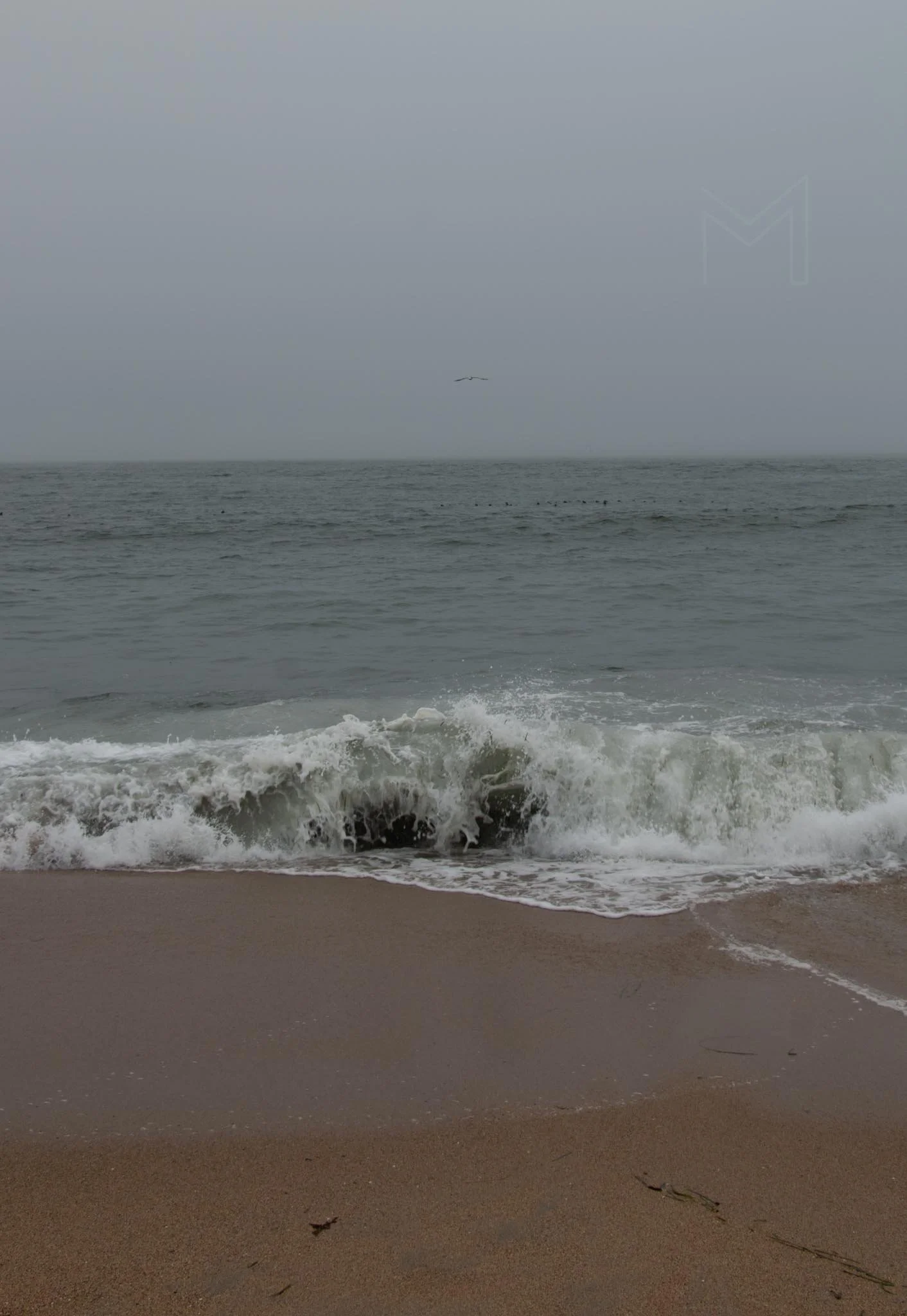 MG beach-54.jpg