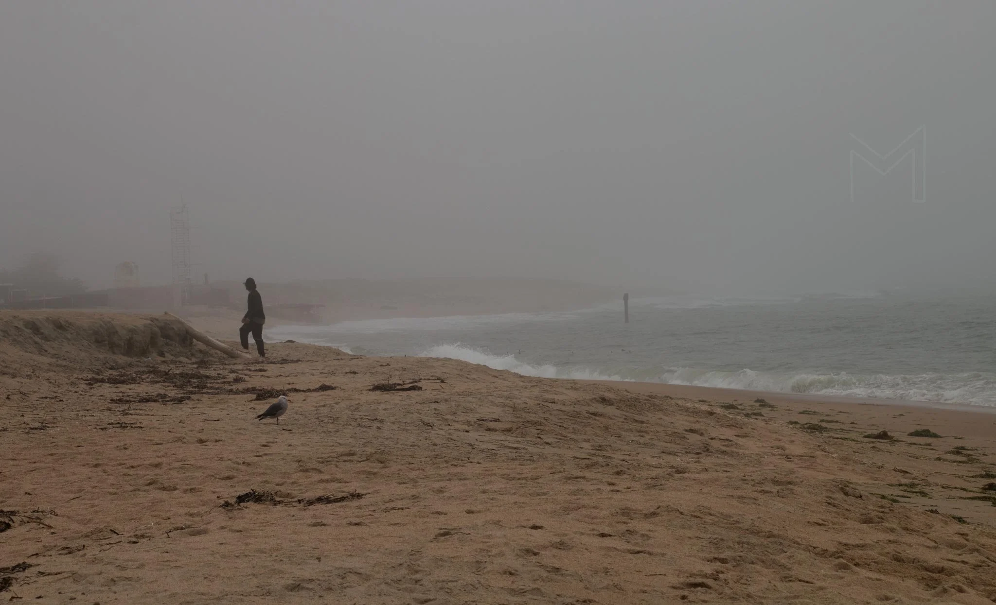 MG beach-55.jpg