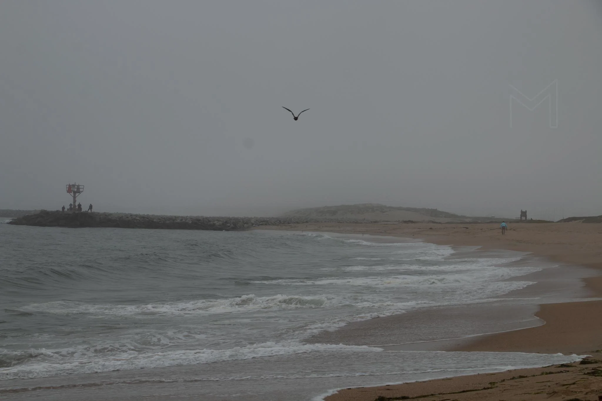 MG beach-57.jpg