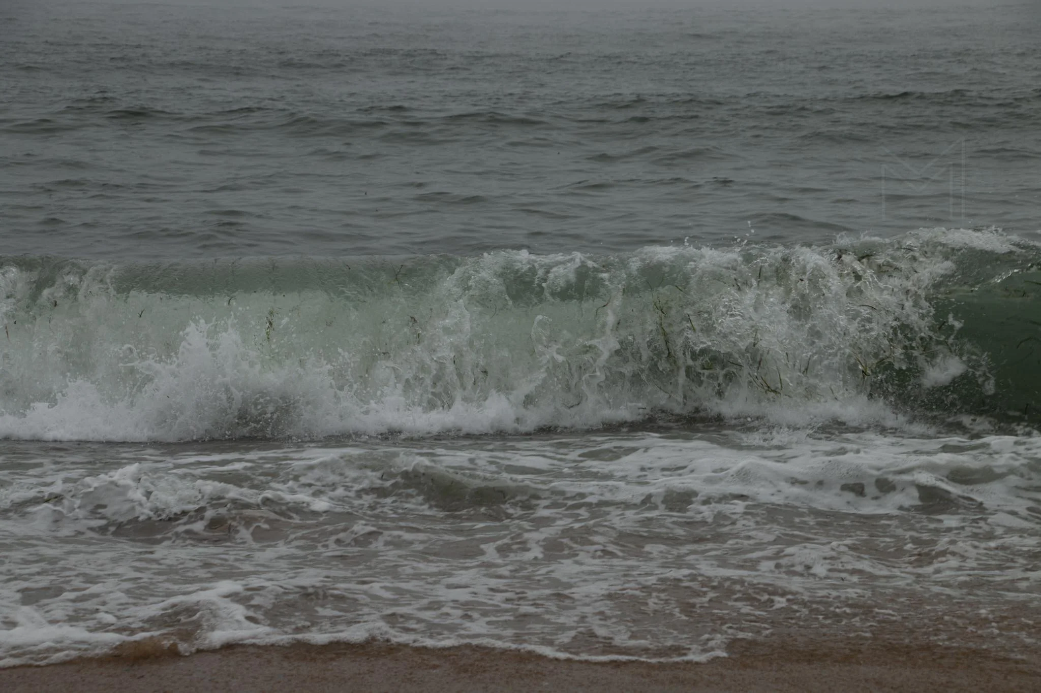 MG beach-58.jpg