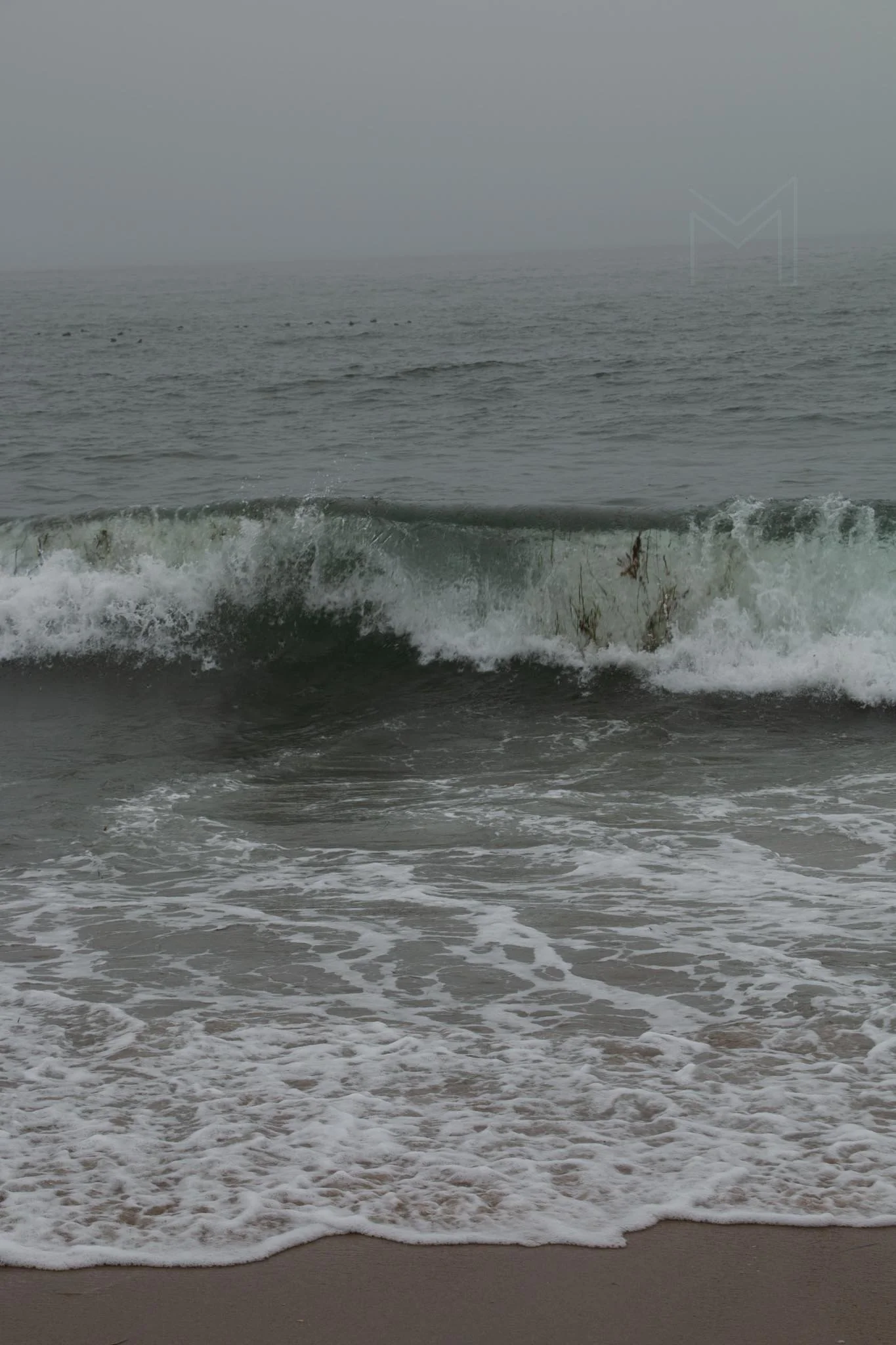 MG beach-59.jpg