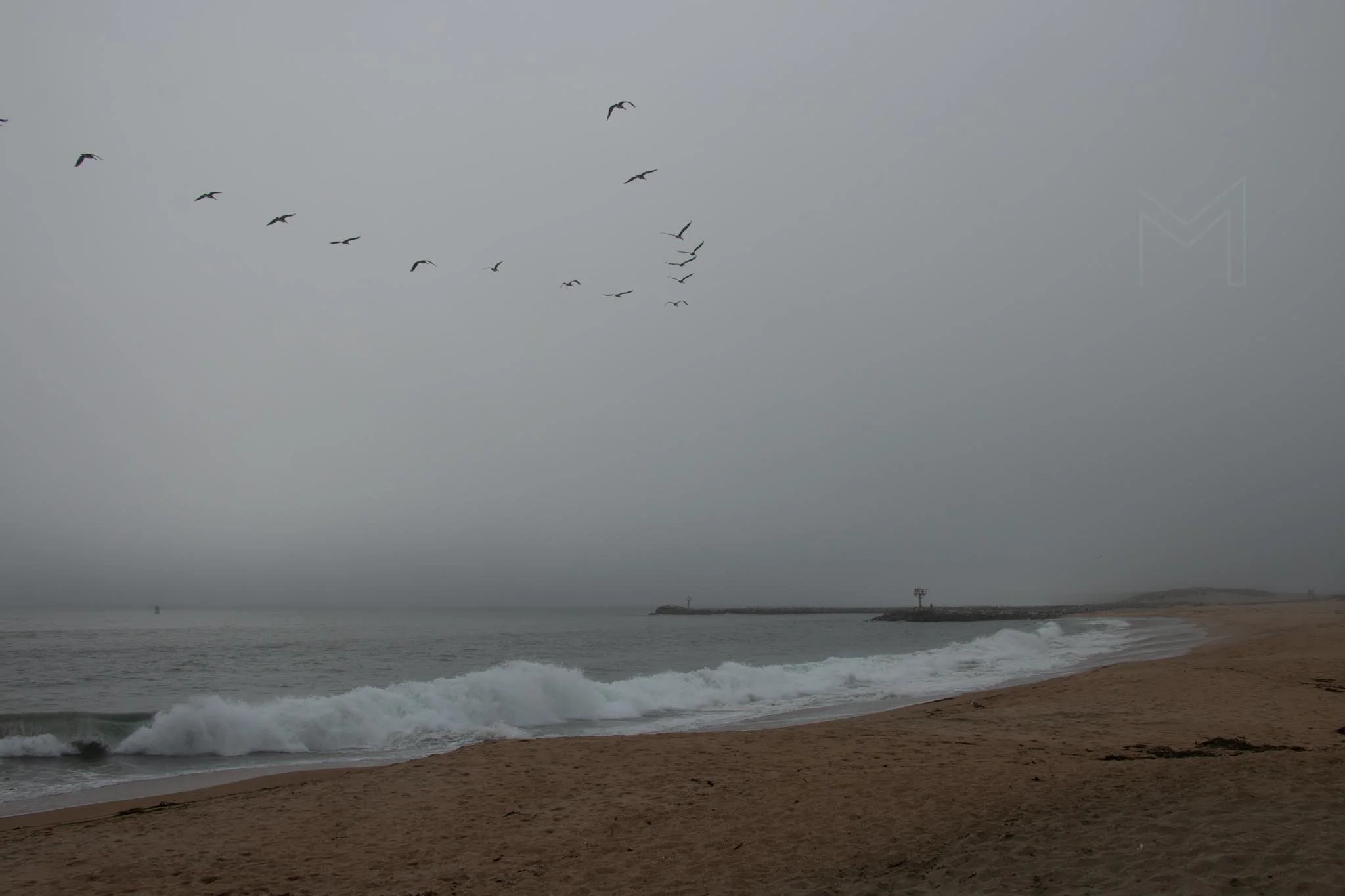 MG beach-62.jpg