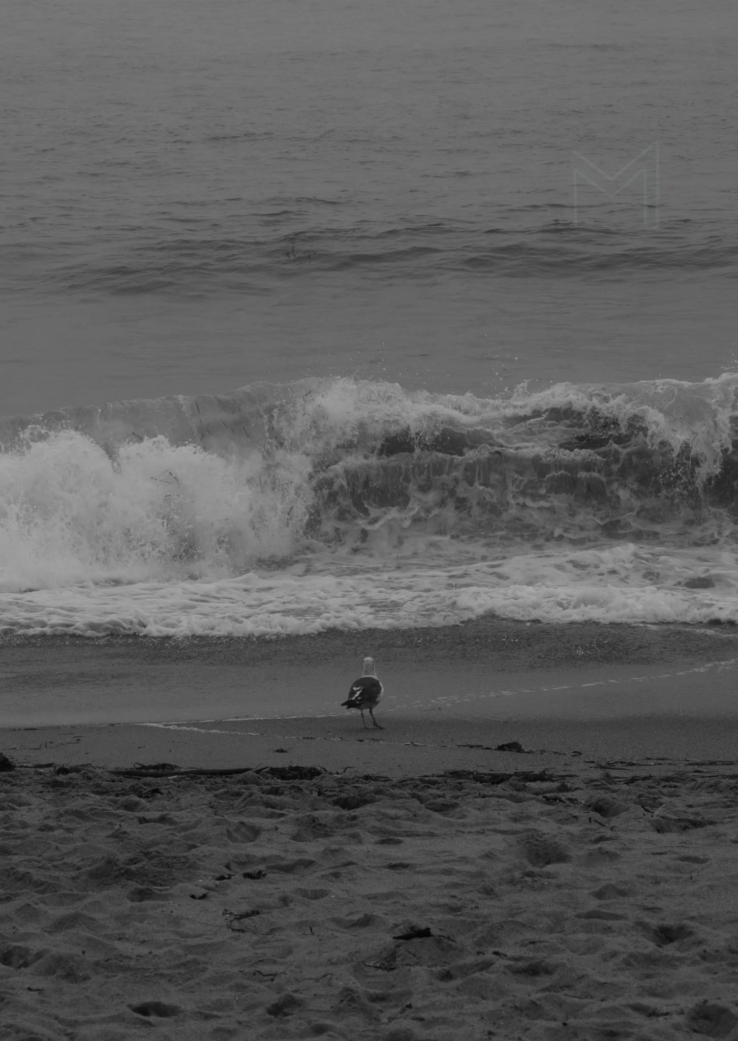 MG beach-64.jpg