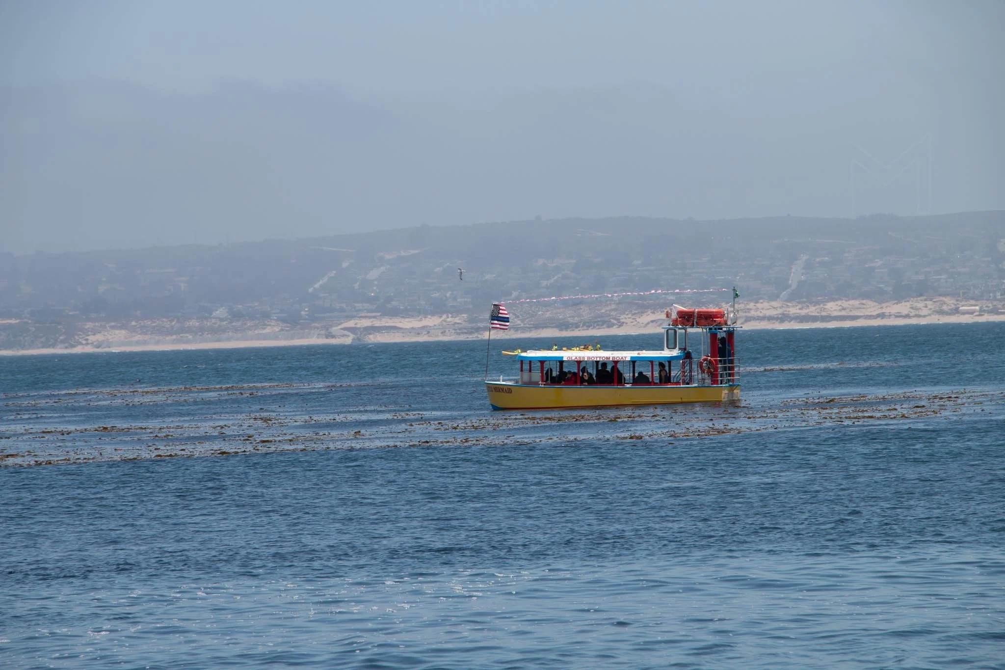 MG beach-24.jpg