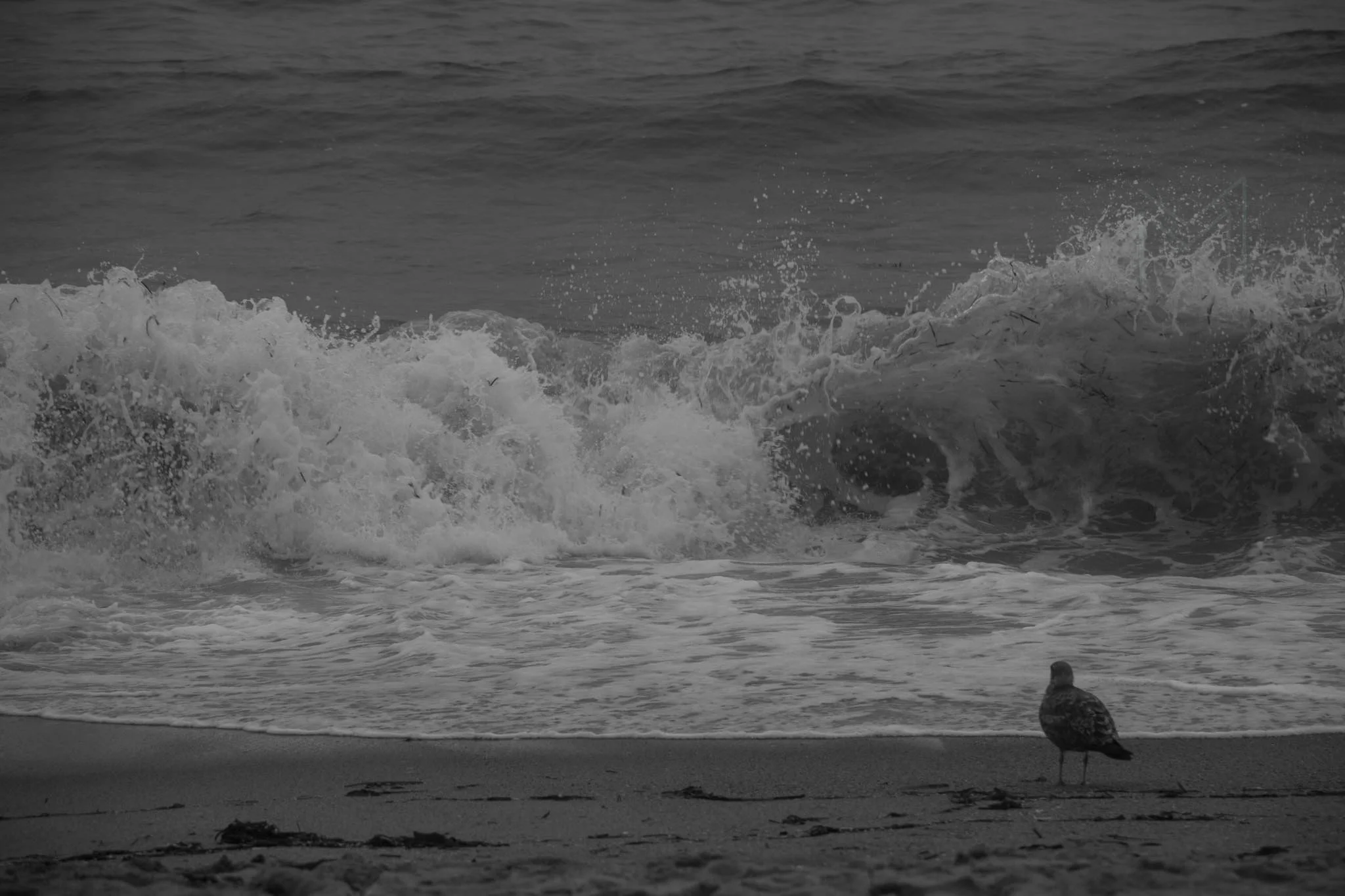MG beach-67.jpg