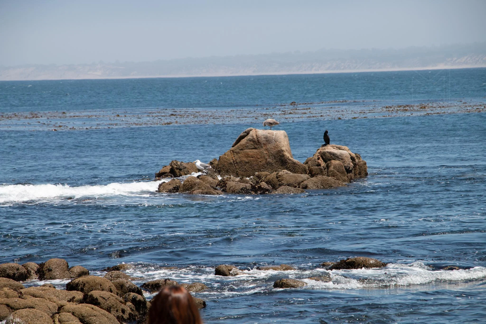 MG beach-25.jpg