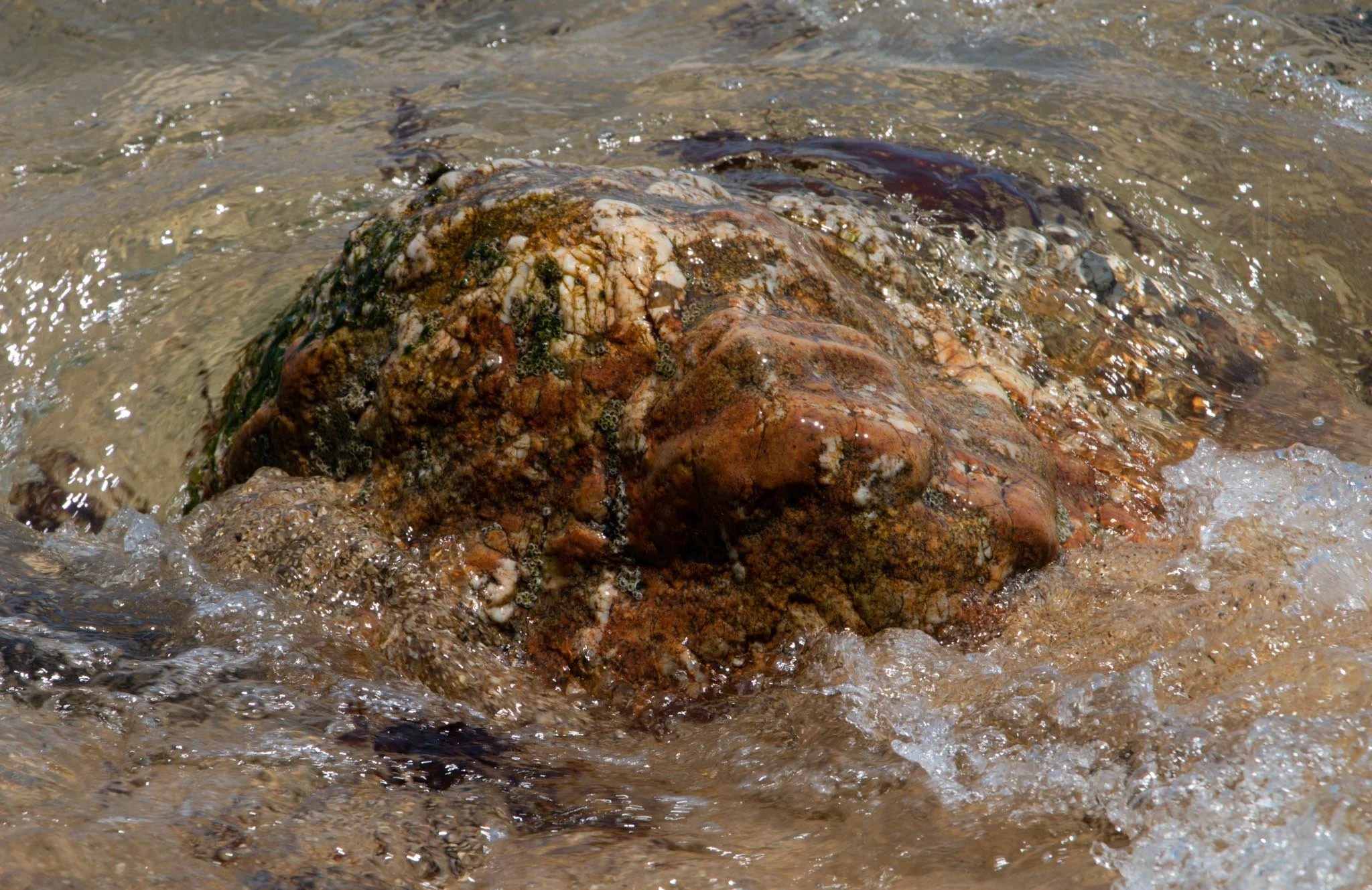 MG beach-75.jpg