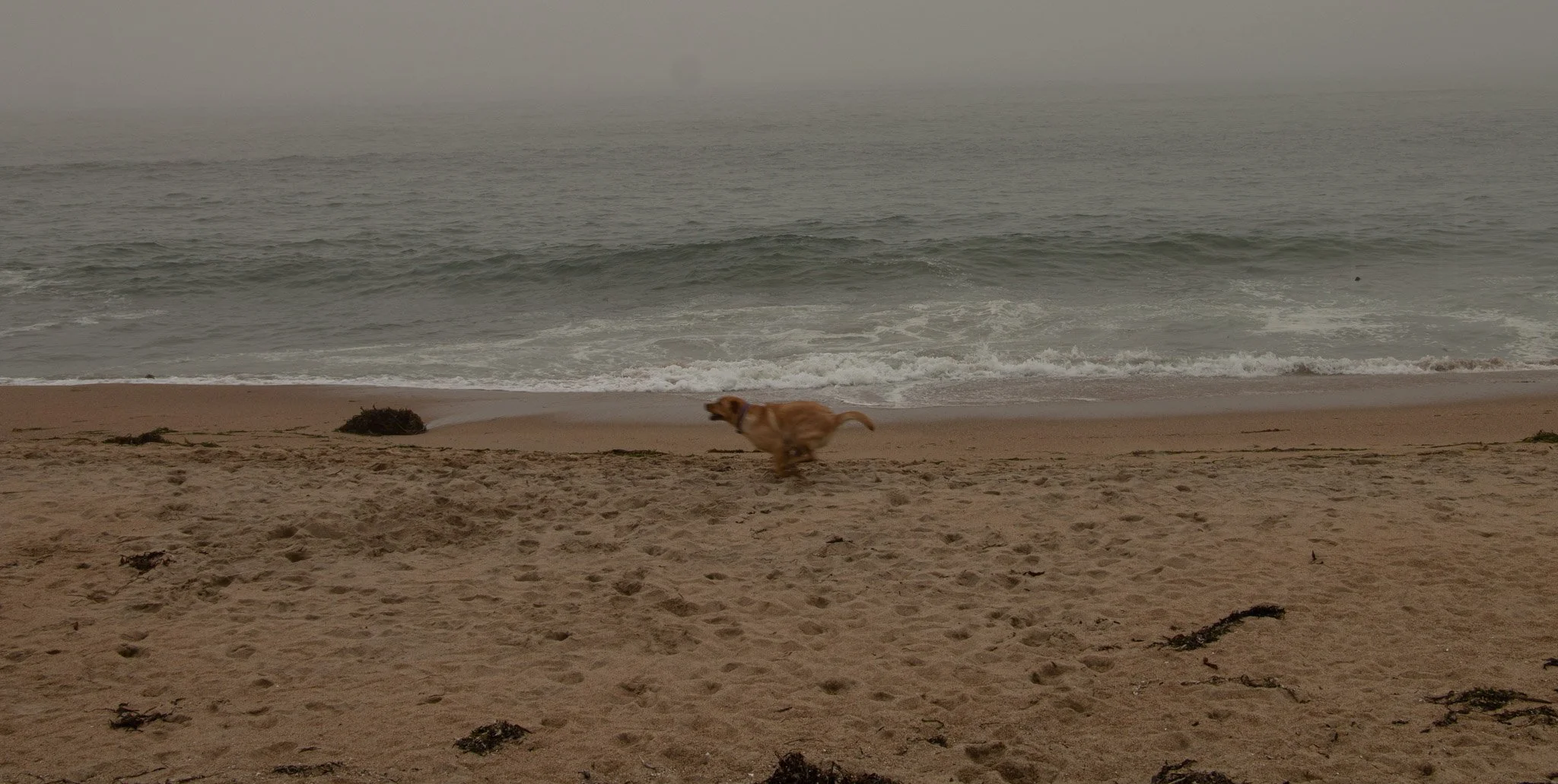 MG beach.jpg