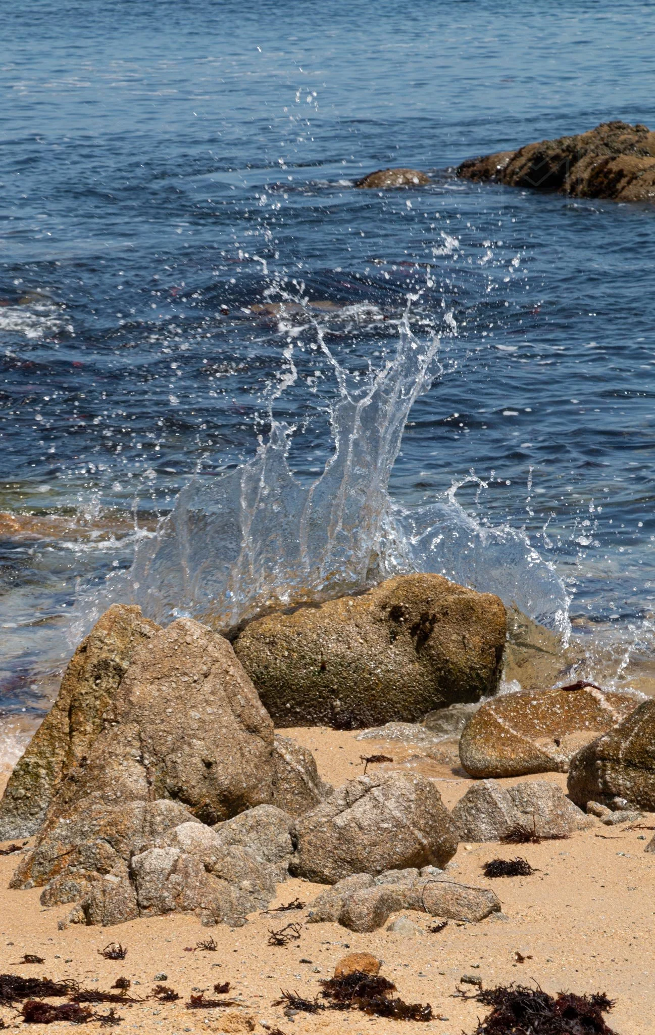 MG beach-31.jpg