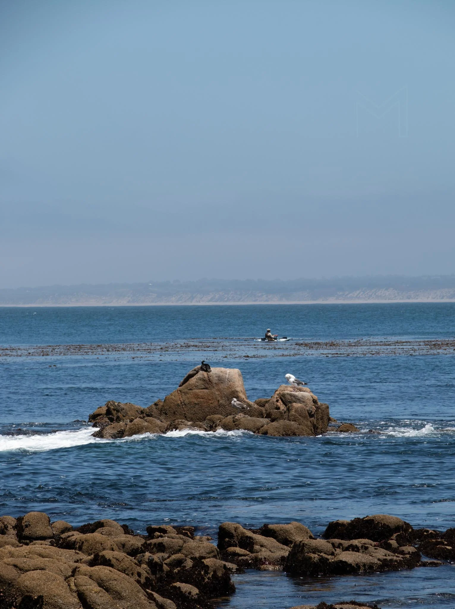 MG beach-35.jpg