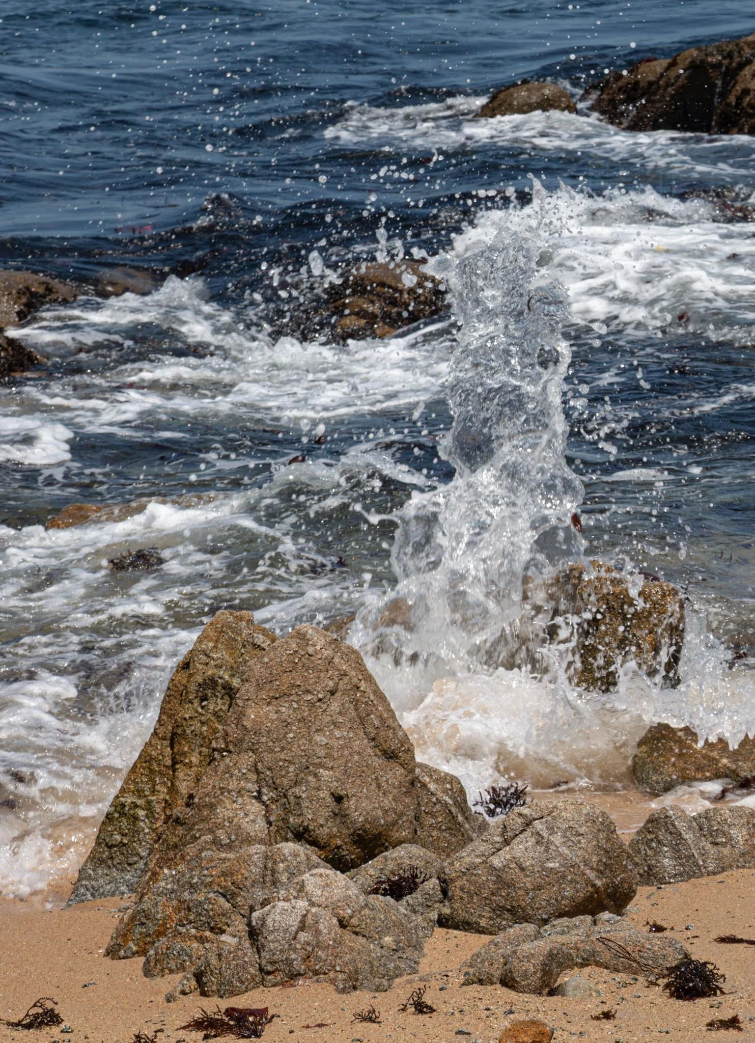 MG beach-36.jpg