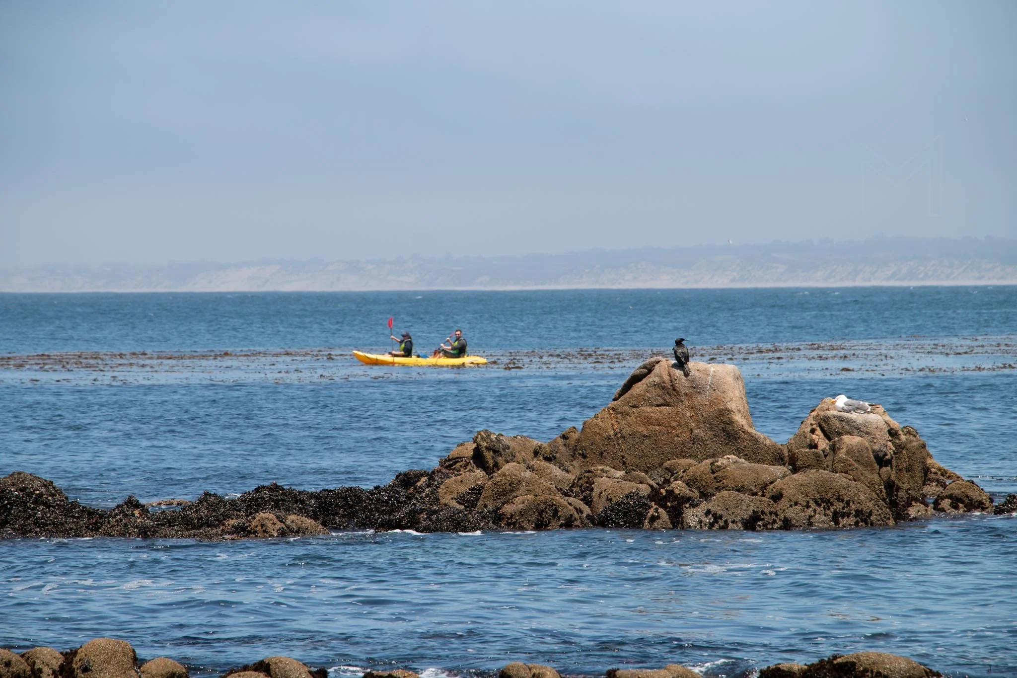 MG beach-40.jpg
