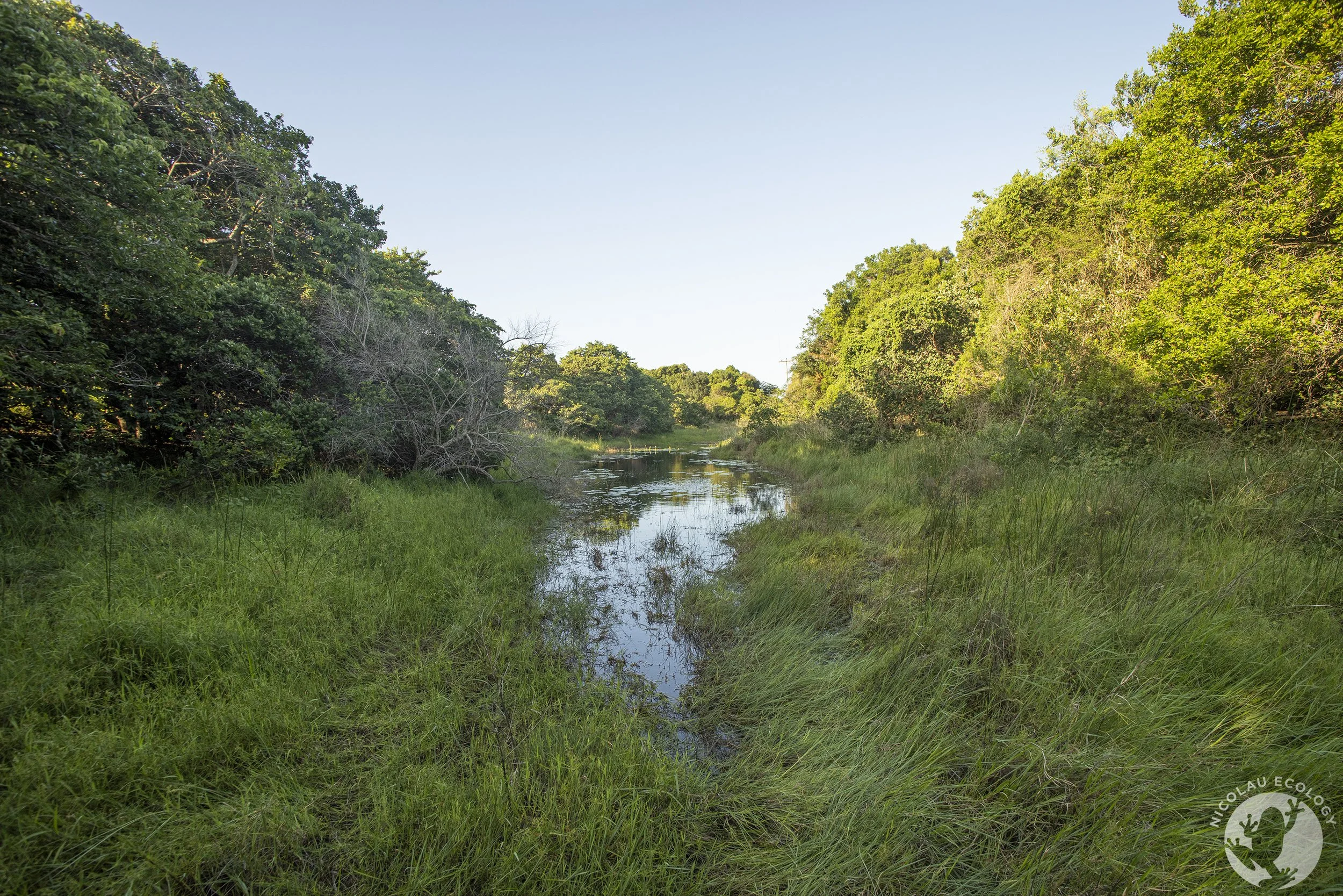 St. Lucia, KZN, SA