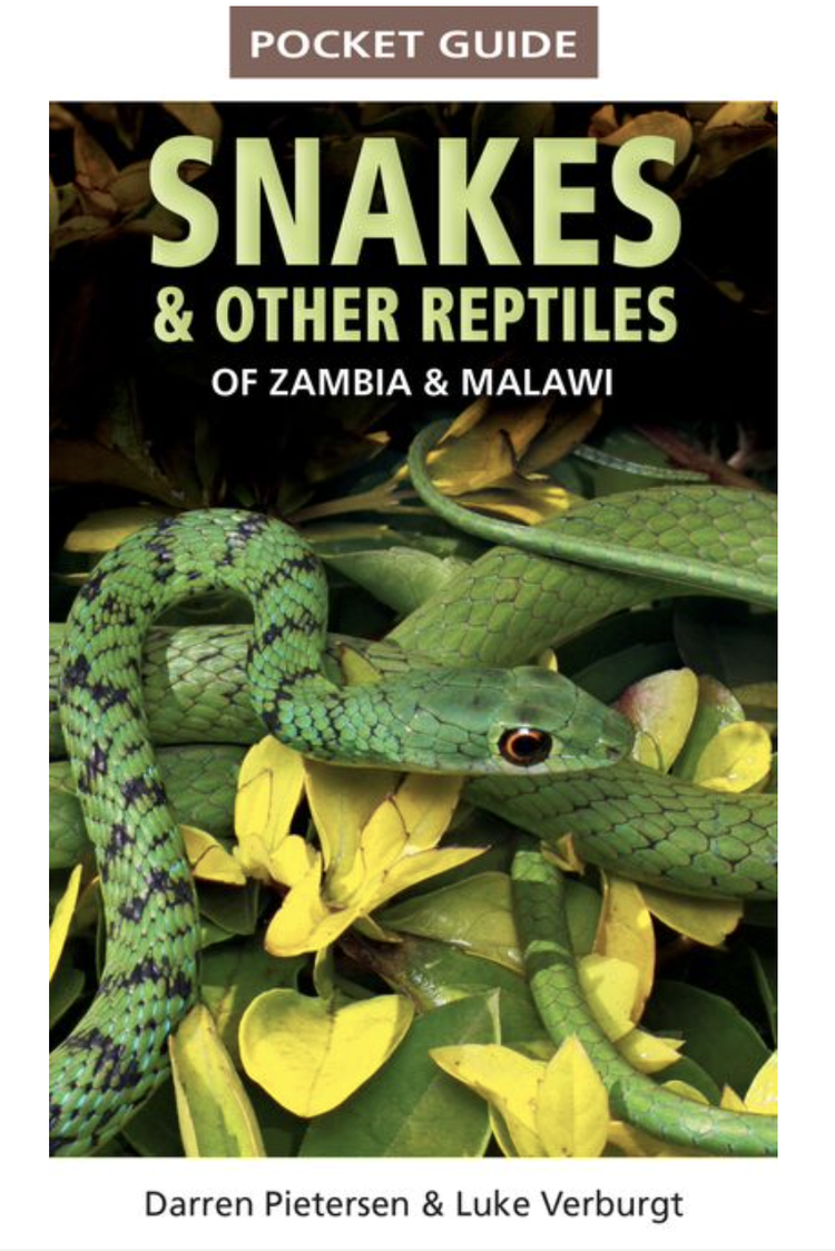 Darren+Pietersen+&+Luke+Verburgt+Pocket+Guide+Snakes+&+Other+Reptiles+of+Zambia+&+Malawi+.png