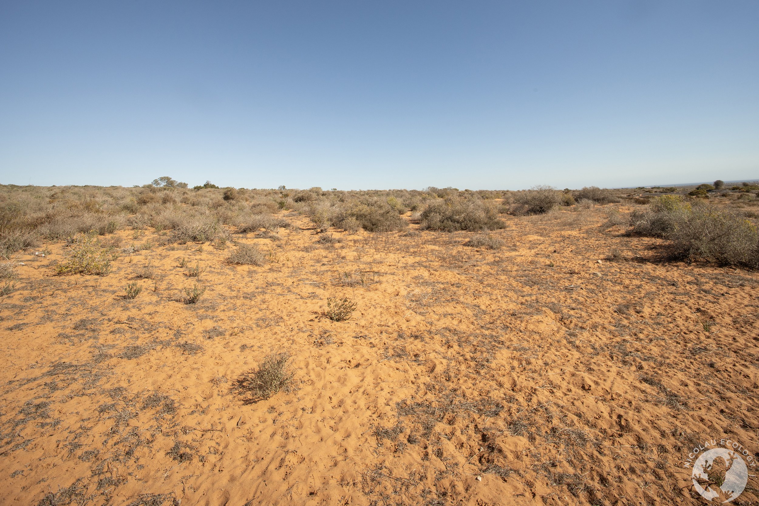 Lamberts Bay | Western Cape | South Africa