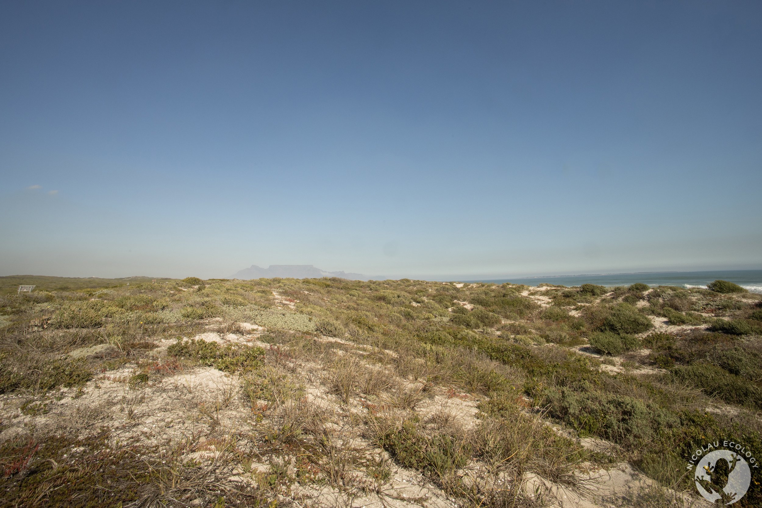 Bloubergstrand | Western Cape | South Africa