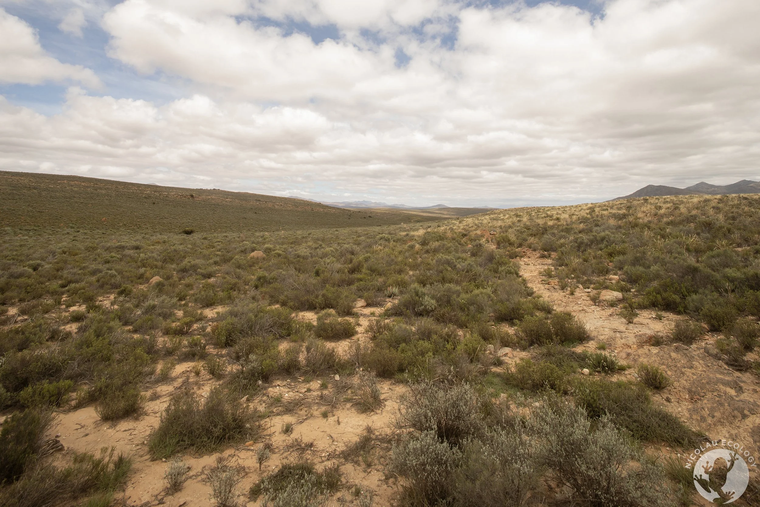 Baviaanskloof | Eastern Cape | South Africa