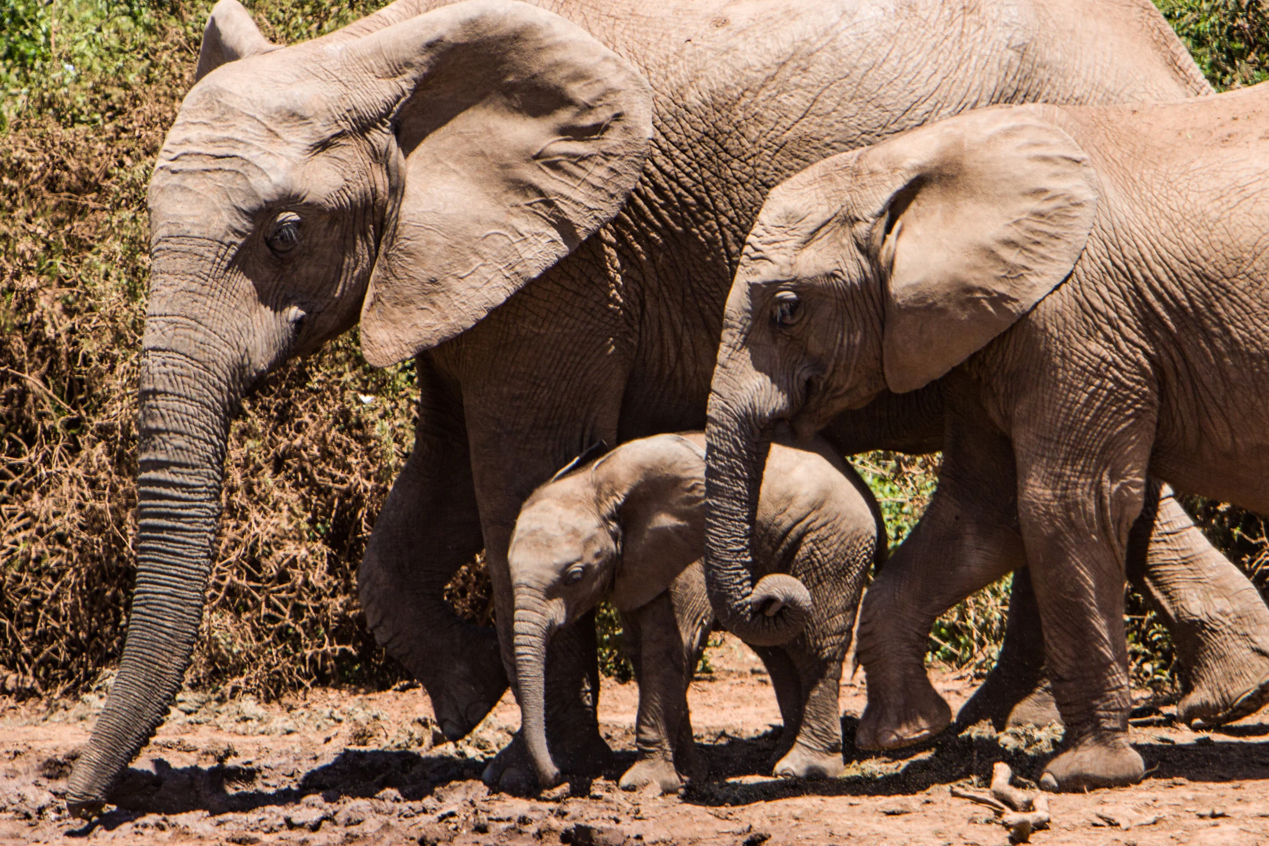 How To Plan A Trip To South Africa