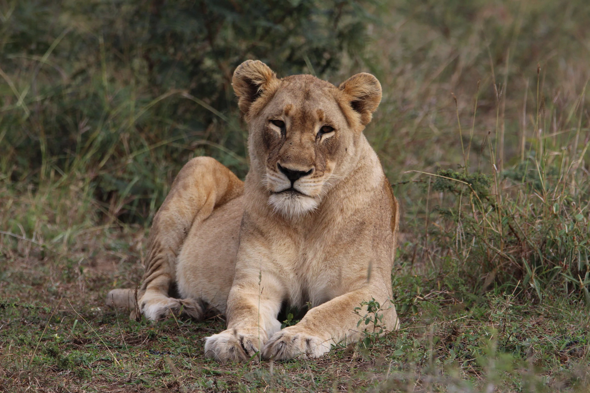What To Do in South Johannesburg