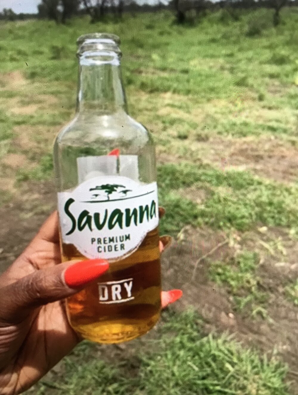 Savanna Cider.jpg