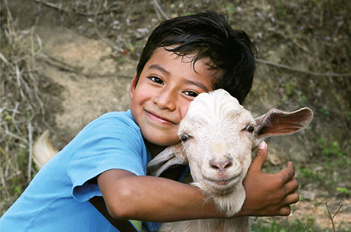 goatwithboy.jpg