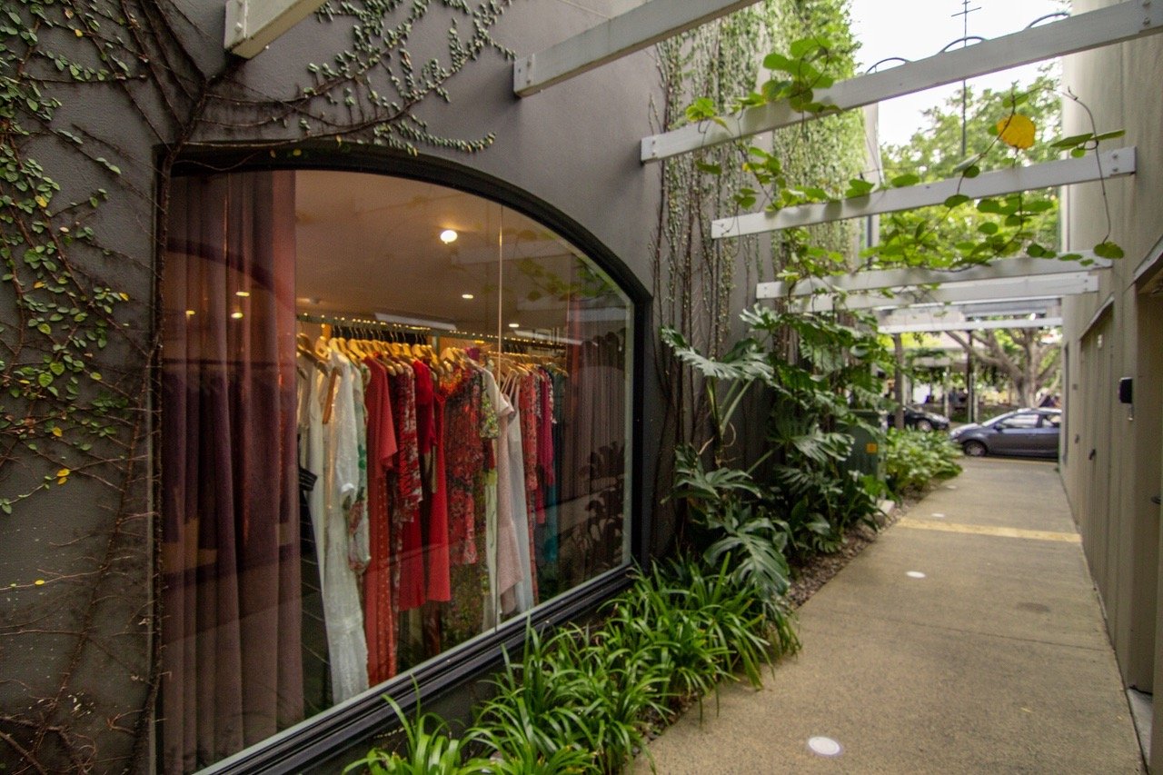 An image of an shop display window in an alleyway and plants_Fortitude Valley Large.jpeg