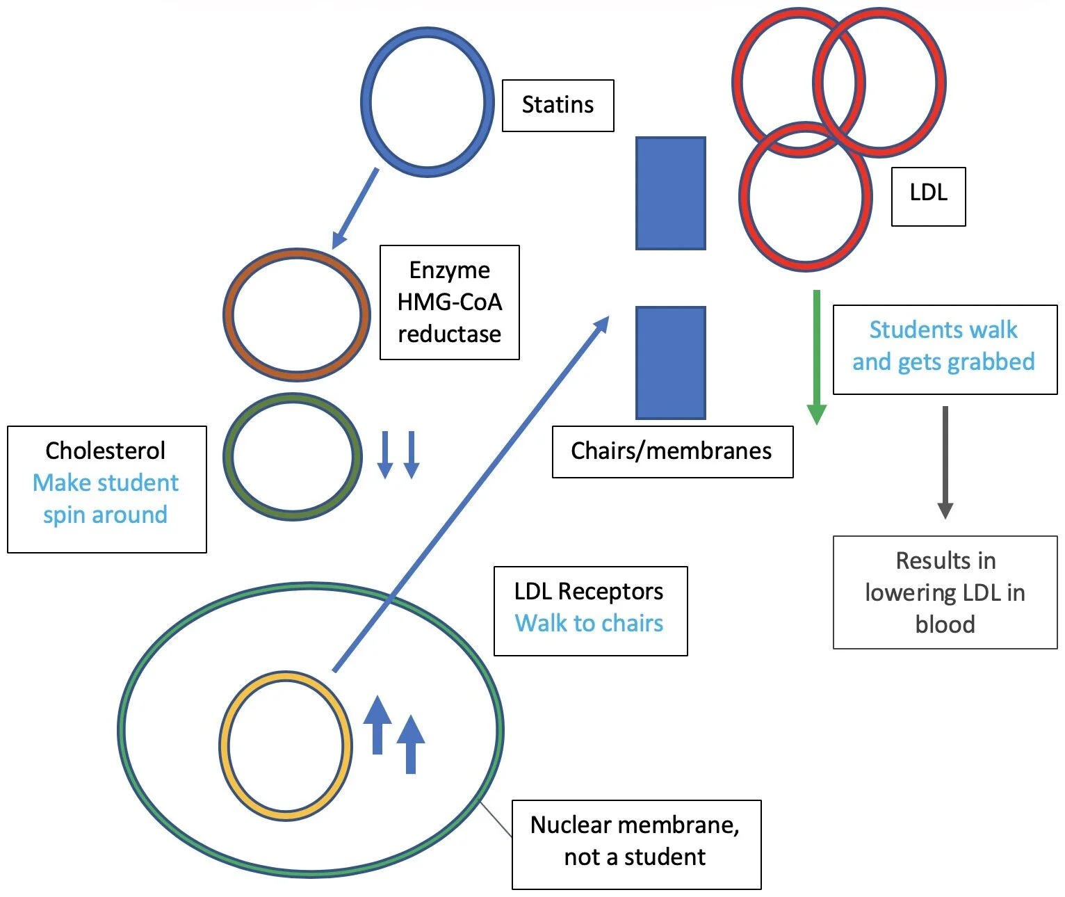 Statin Sketchy Medical Teaching in Health Utilising Pedagogy Techniques and 
