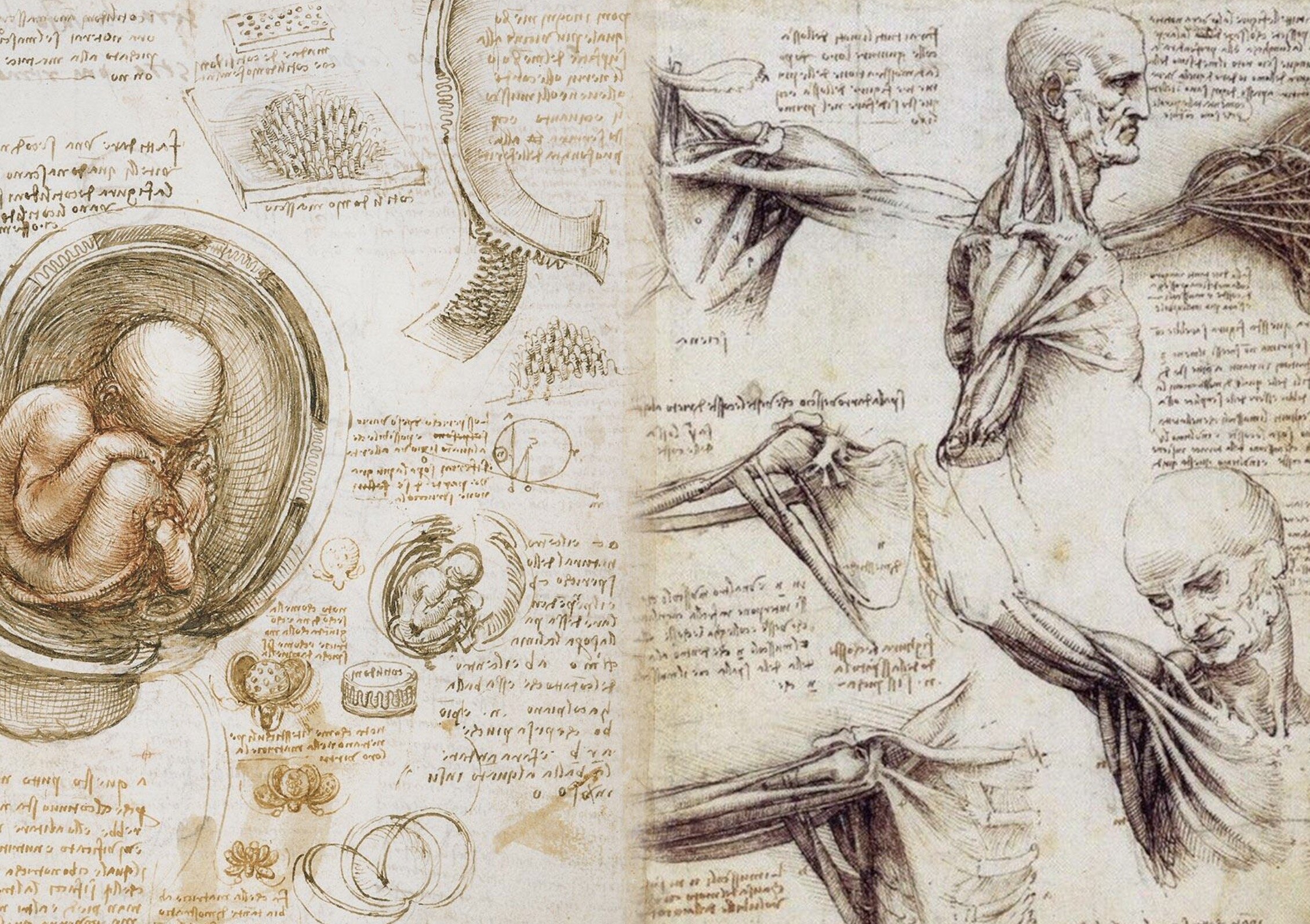 Screen Shot 2020-05-26 at 3.45.49 pm.jpg