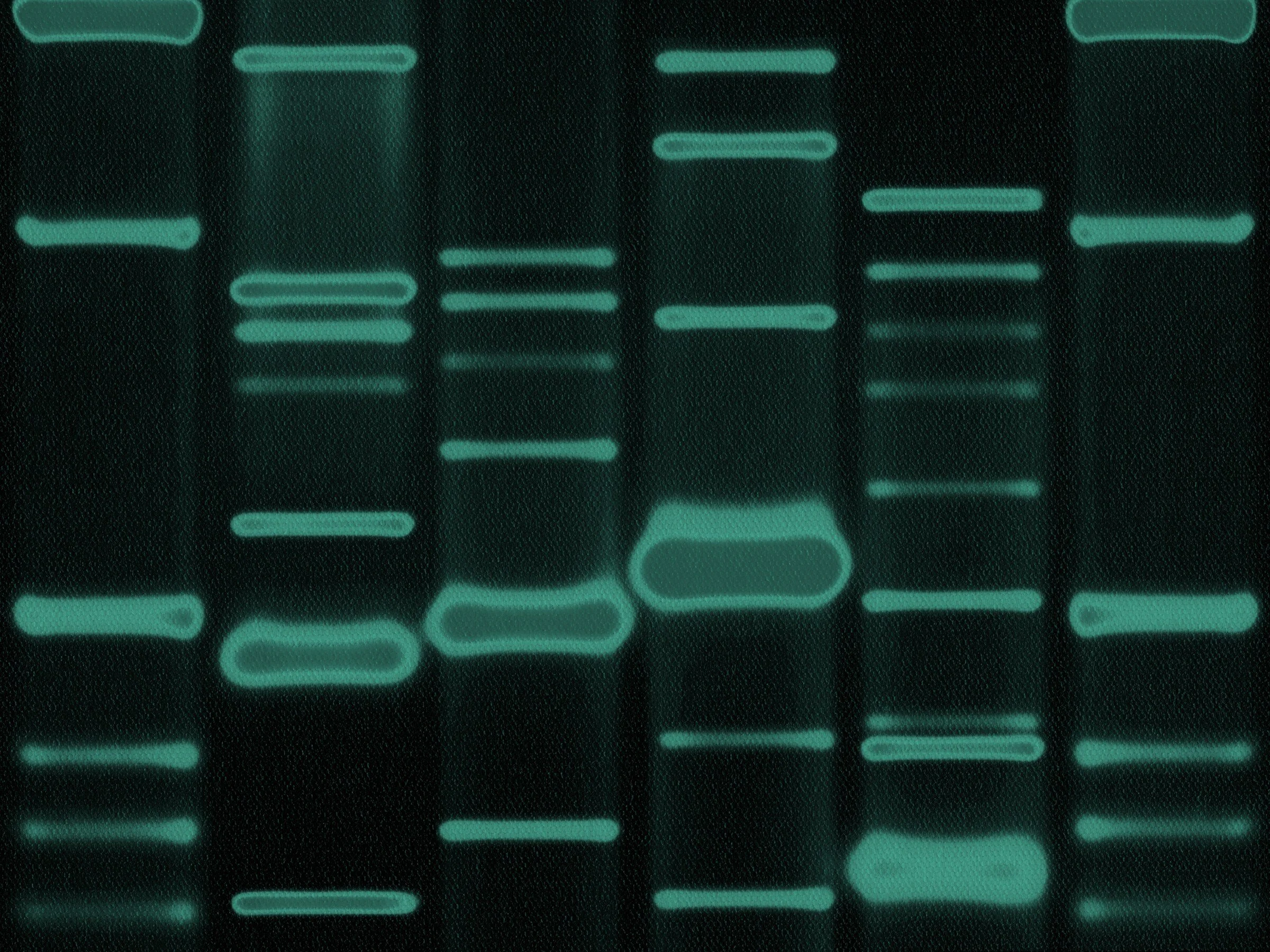DNA 4.jpg