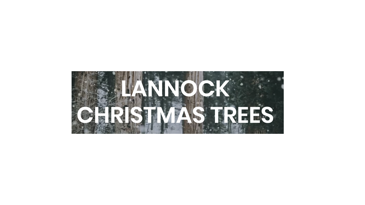 Lannock Christmas Trees Web Logo.png