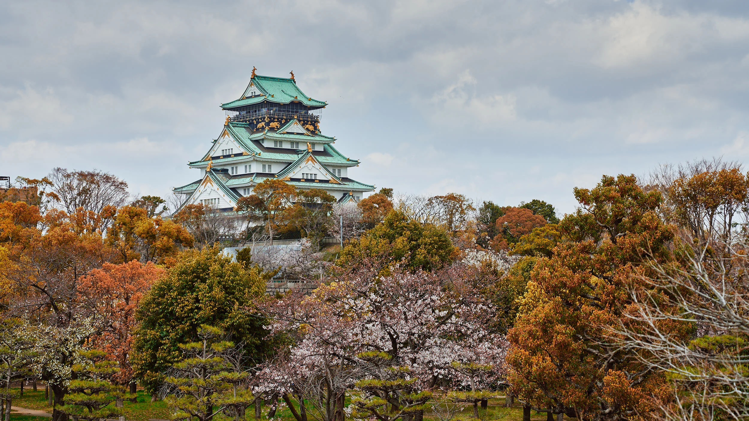 A7R07959- JPEG sRGB Blog.jpg