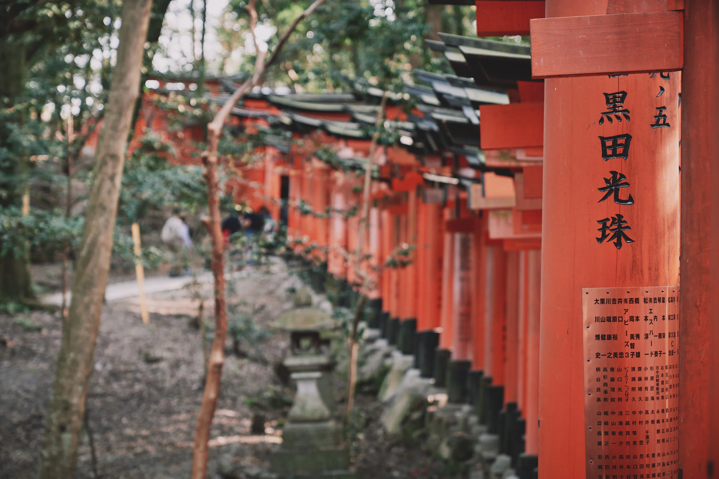 A7R09559- JPEG sRGB Blog.jpg