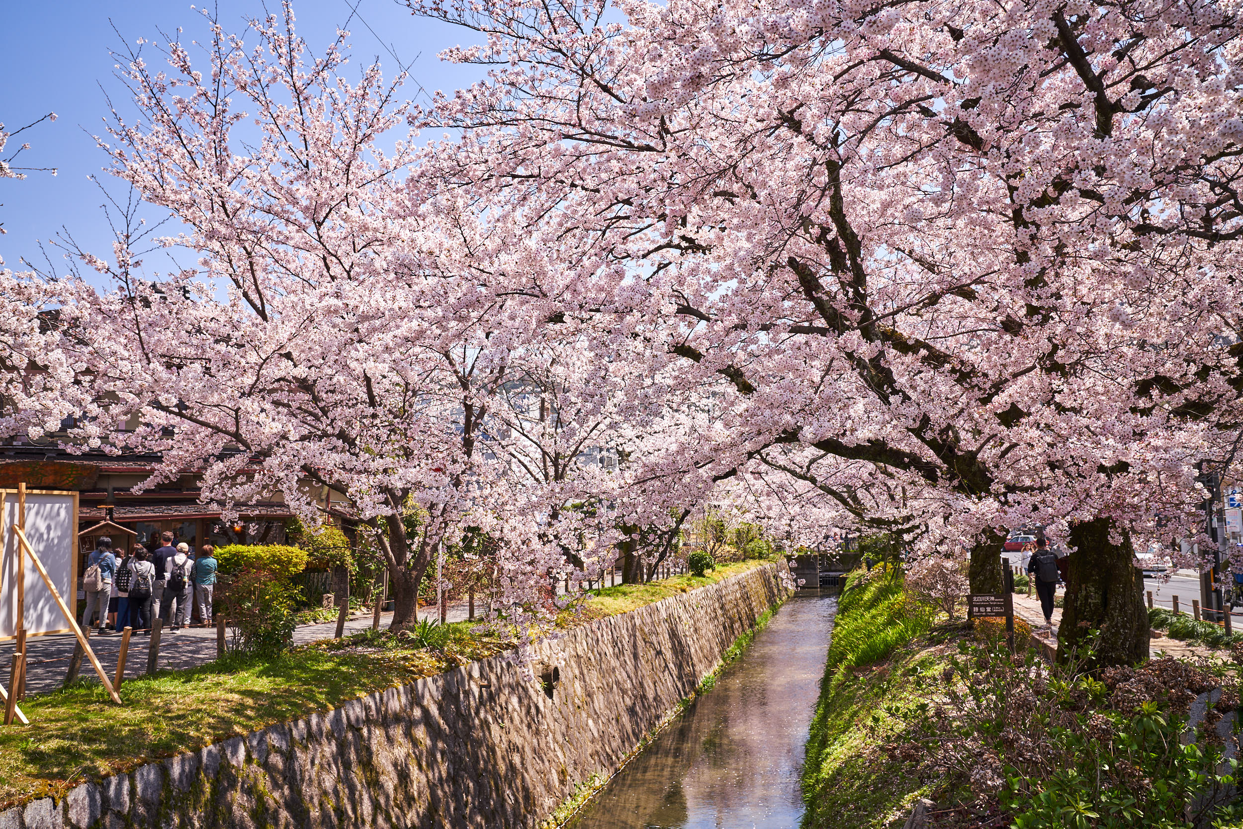 A7R09973- JPEG sRGB Blog.jpg