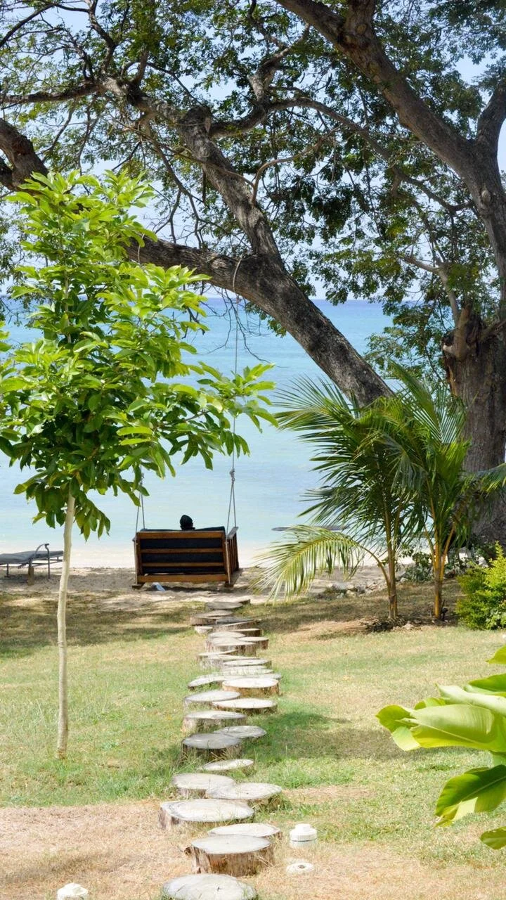 WhatsApp Image 2021-06-10 at 2.59.15 PM.jpeg