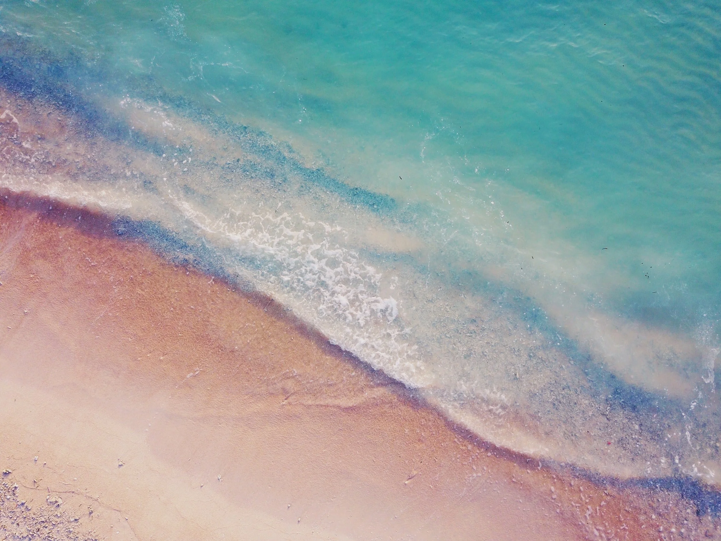 unsplash-image-I_O-v19bnJQ.jpg