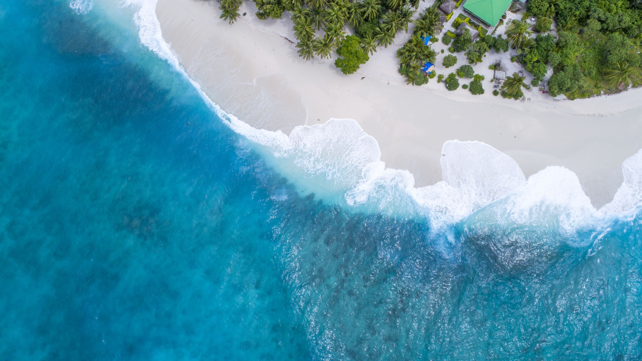 unsplash-image-Rl9l9mL6Pvs.jpg