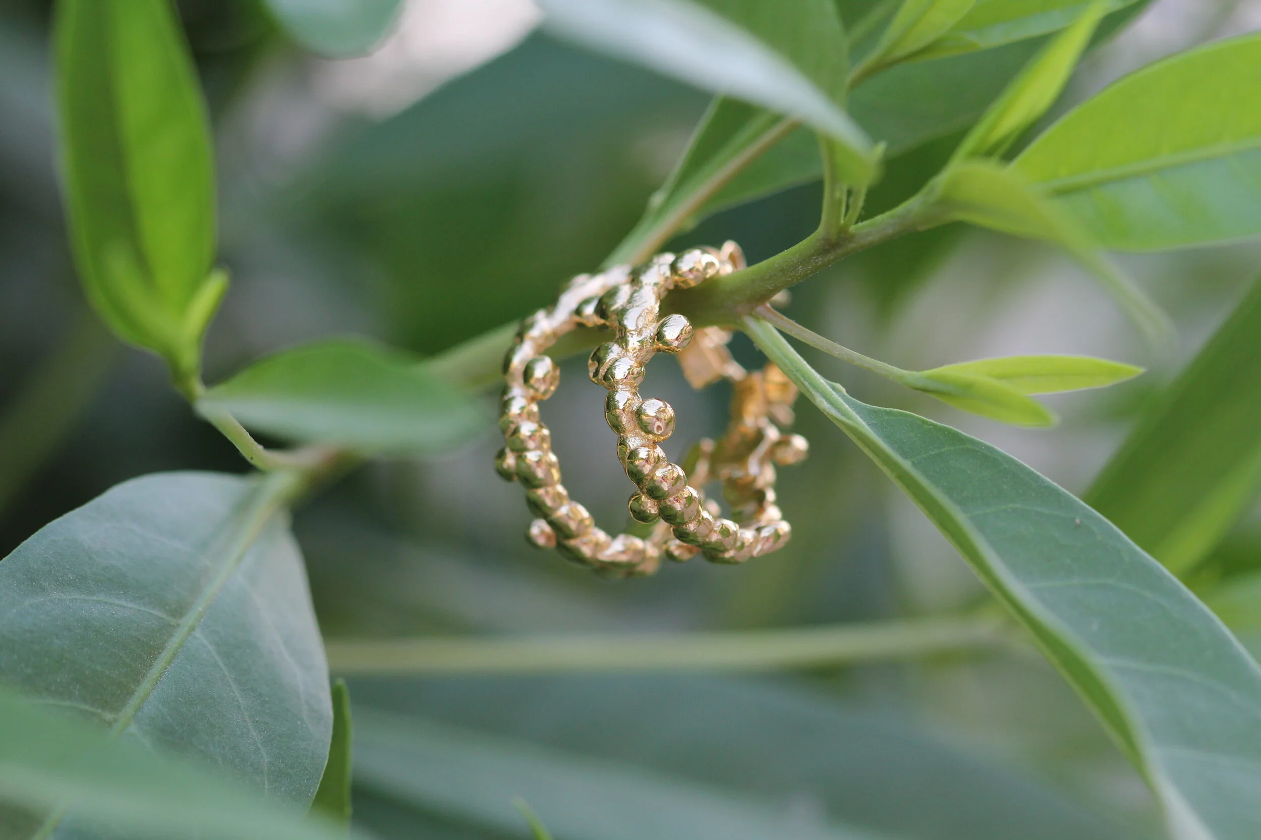 Alnada Hoop Earrings 