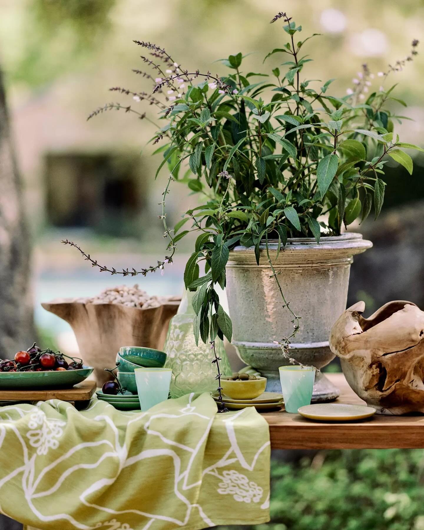 My art on @shopterrain items is a pinch me moment 🌿 New summer table photos of my Botanical Linework Tablecloth.  Maybe I will do my own photo shoot in my backyard? Tbd 🌳🌾❤️

#terrain #shopterrain #anthroartists #anthropologie #summertable #illust