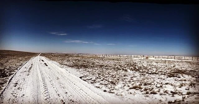 How about this little afternoon walk for some &ldquo;social distancing&rdquo;? #ixranch #distantenough #