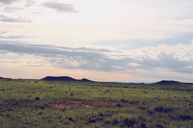 Is your office as cool as our office? 
#ixranchco #ixranchinternship #beefusa