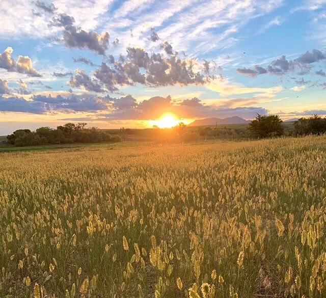 It&rsquo;s easy to wake up for this view #ixranchco