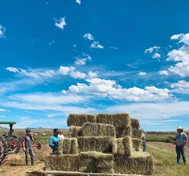 Bucking bales. 2020 Summer Workout Program. It&rsquo;s all one in the same for our crew! #ixranchco #ixranchinternship #beefusa