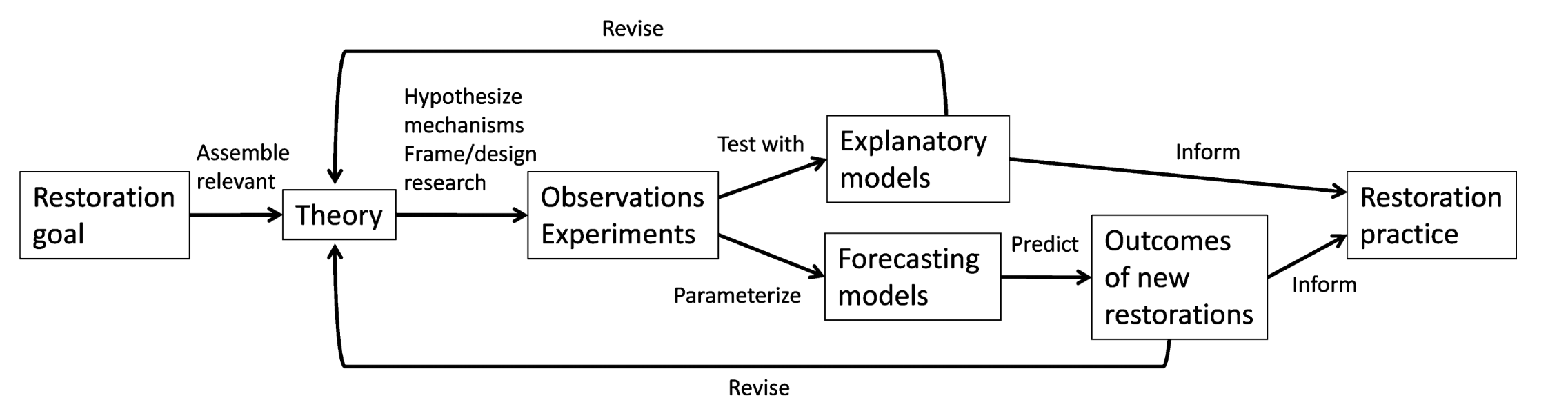 Fig. 2: A conceptual map illustrating how adaptive management can advance prediction and certainty in restoration ecology. Once restoration goals are set, theory-based observations and experiments are implemented and tested with explanatory and forecasting models. New insights from this monitoring are used to inform the current restoration practices, to predict the outcomes of new restoration projects, and to revise pre-existing theories. Adapting theory leads to new ideas for observations and experiments in an iterative process. Reproduced from Brudvig 2017.