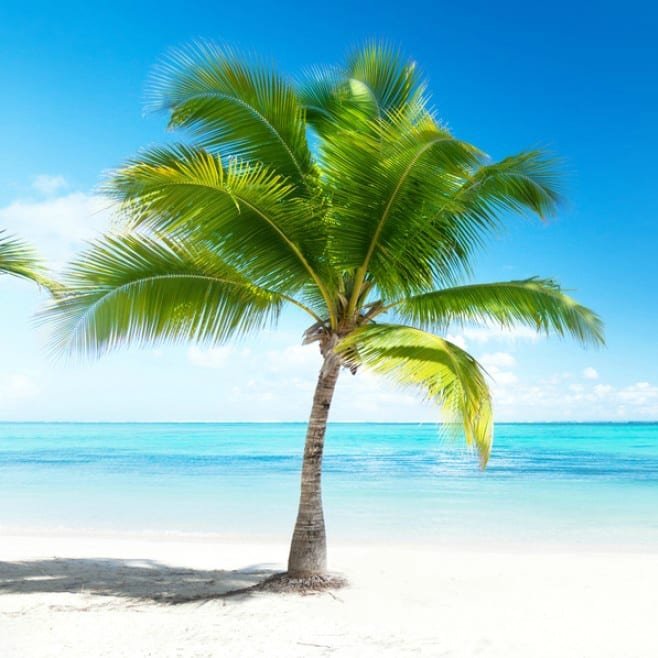 Vakantie