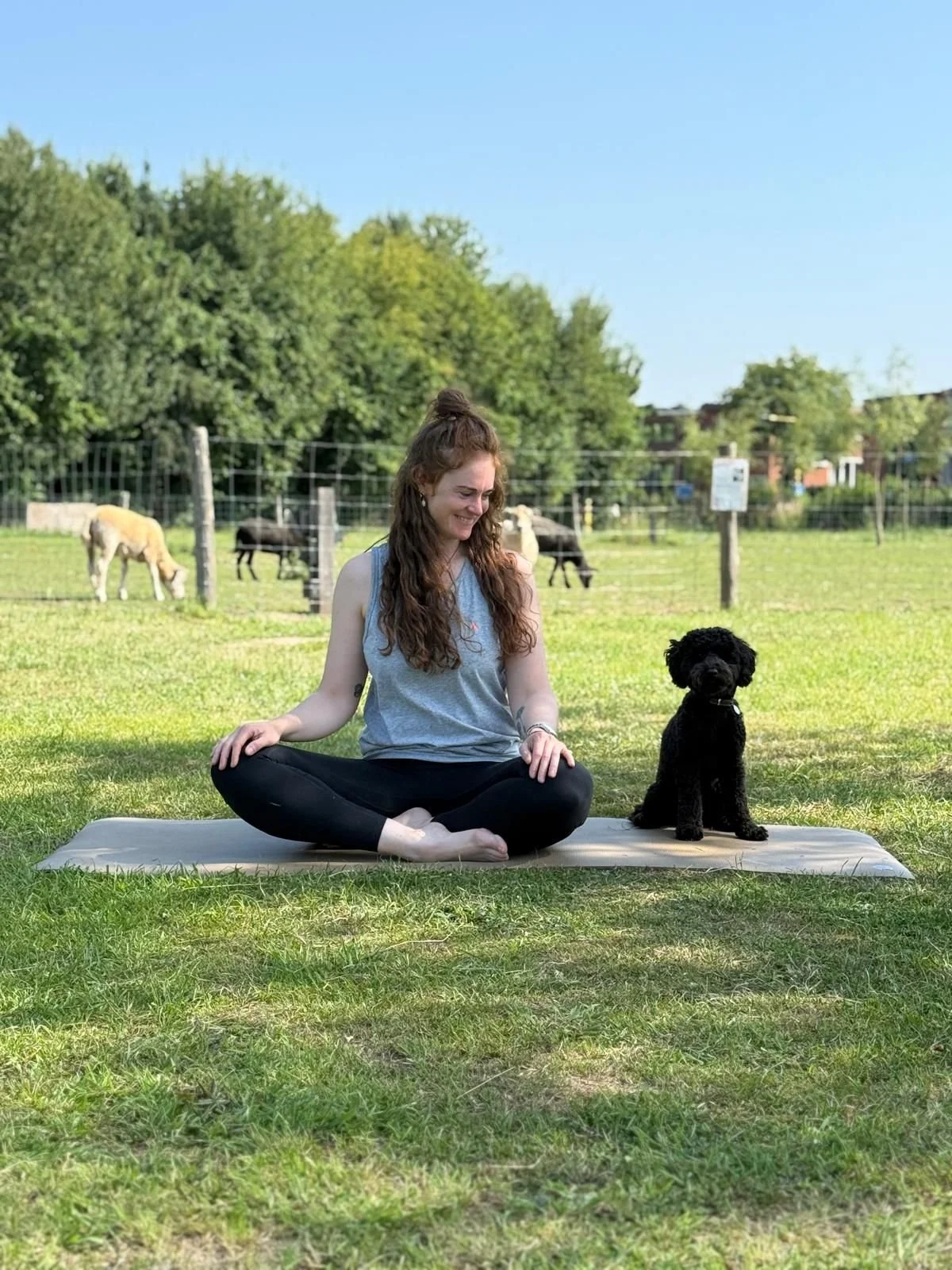 Qigong op de Zoerderij