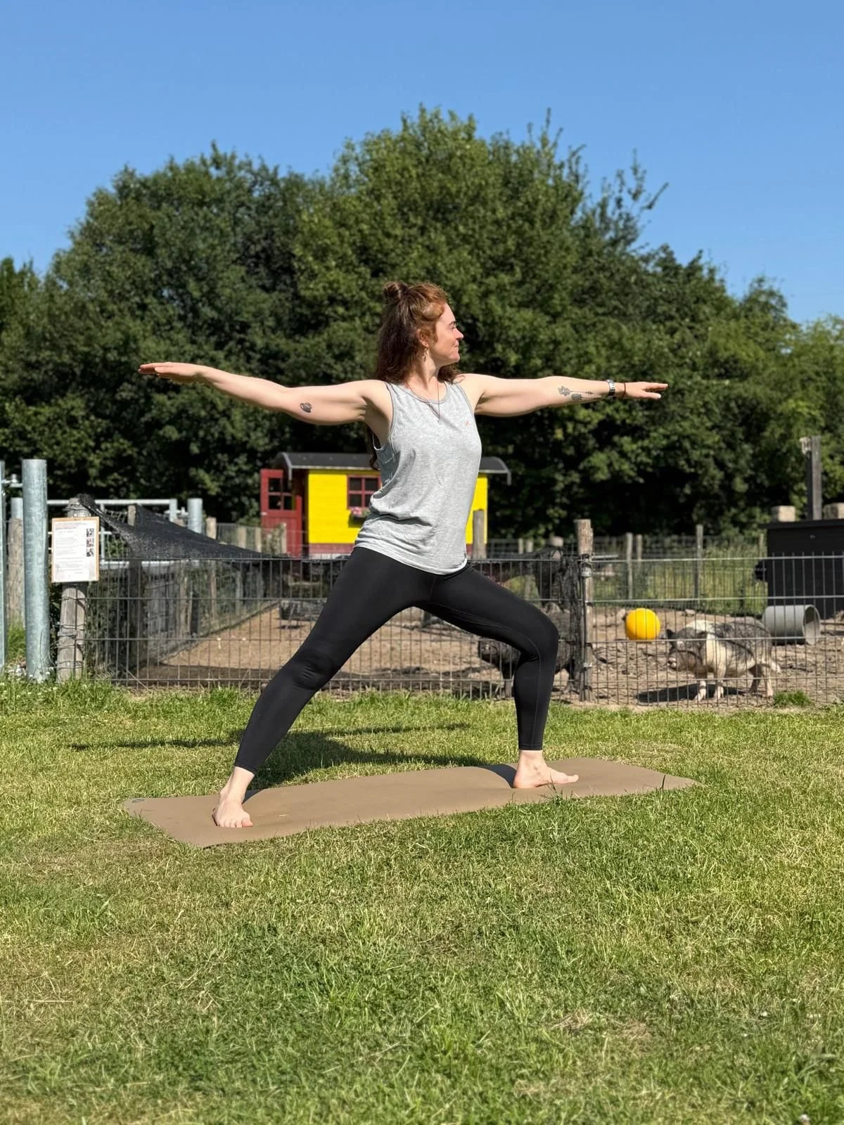 Yoga op de Zoerderij